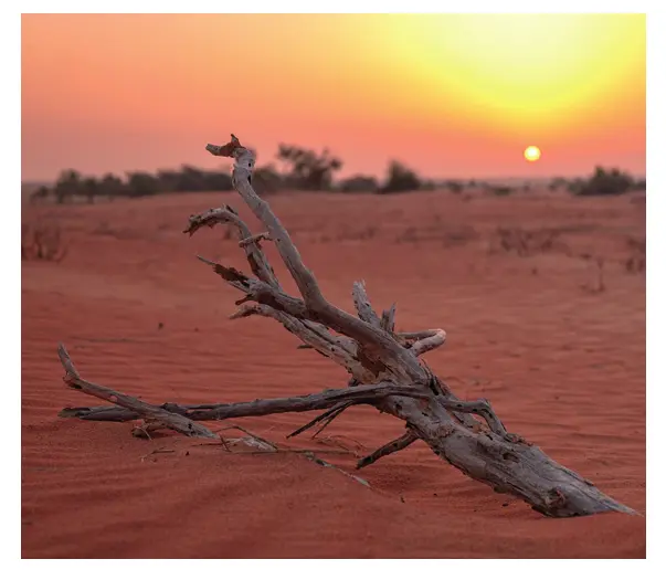 Environmental Impact Insurance